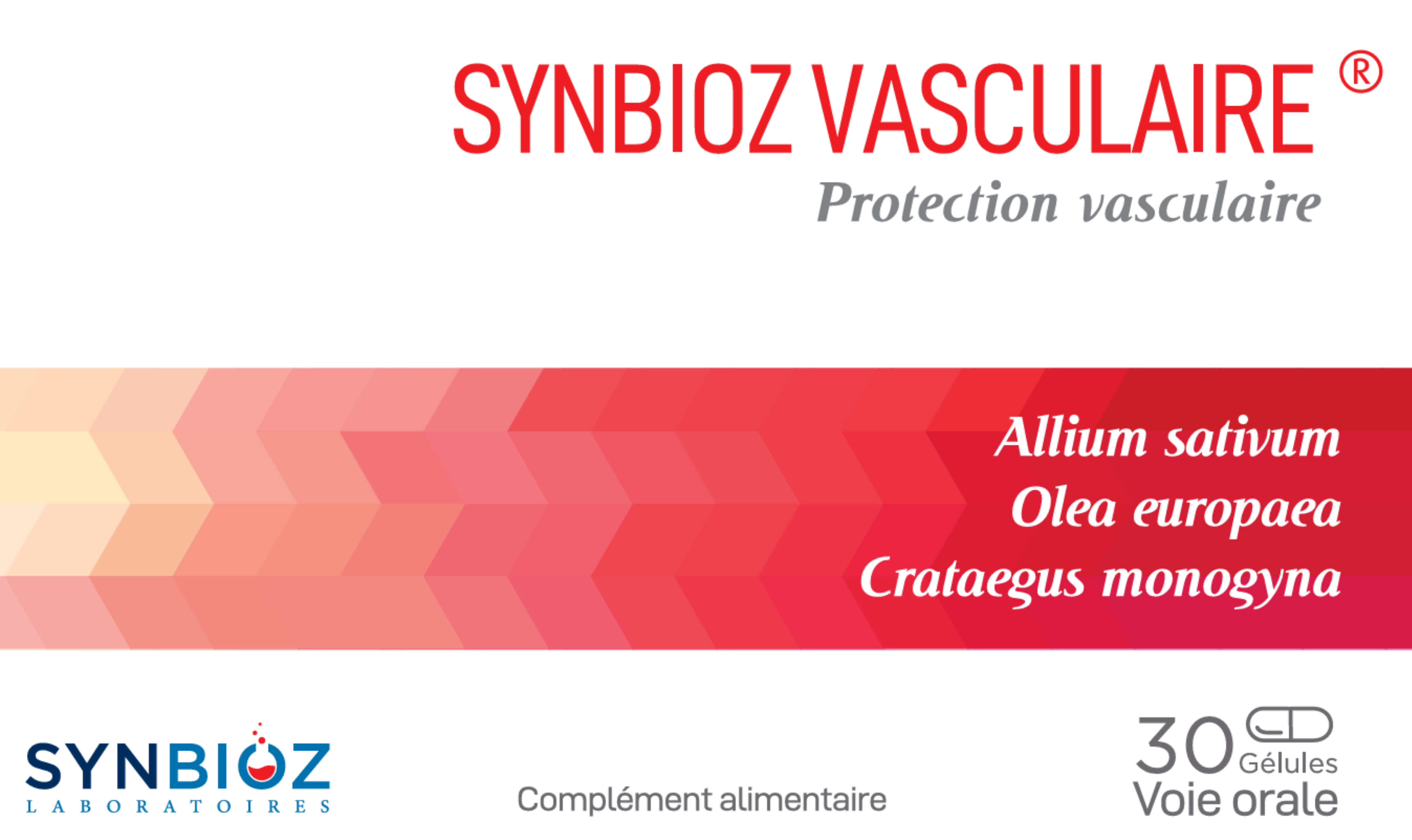 SYNBIOZ VASCULAIRE